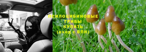 дурь Алексеевка